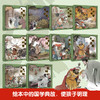 古典名著三国演义儿童绘本（全10册）桃园结义+三顾茅庐+草船借箭+大战长坂坡+三气周瑜+火烧赤壁+战吕布+败走华容道+七擒孟获+空城计 商品缩略图2