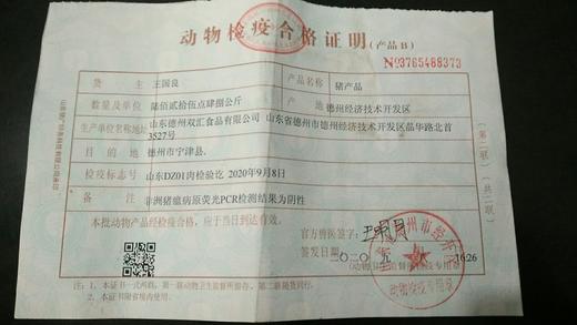 白羽鸡 商品图1