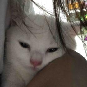 答复