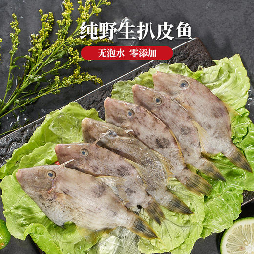 扒皮鱼 商品图0
