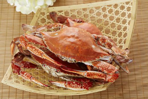 舟山梭子蟹（4kg/箱）  约7-10只  液氮锁鲜冷冻梭子蟹 商品图4