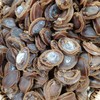 誉海干货 鲍鱼11522特价 商品缩略图0