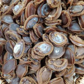 誉海干货 鲍鱼11522特价