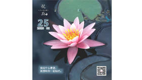 【花丘•心语】