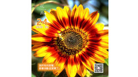 【花丘•心语】