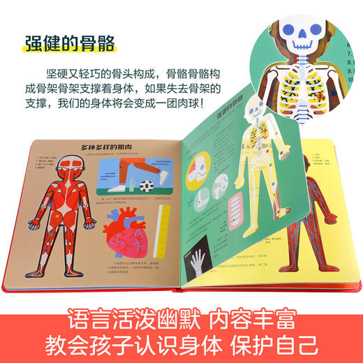 傲游猫-透视小百科 看！身体 商品图3