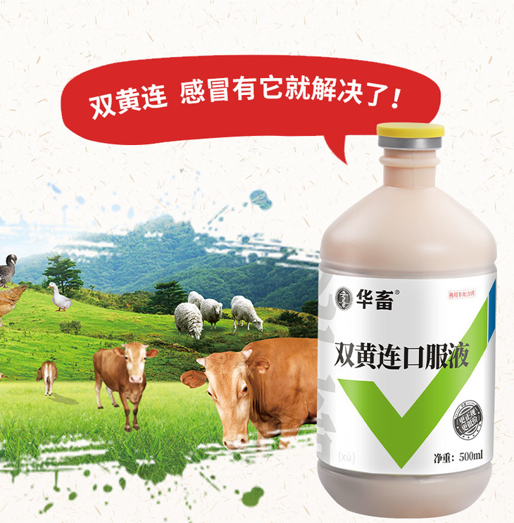 买10送1双黄连口服液500ml感冒呼吸道药禽畜通用华畜兽药
