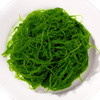 龙须菜 商品缩略图0