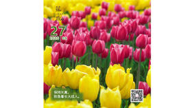 【花丘•心语】