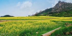  往返机票¥500+！暑假最高性价比、当季最美、深度小众旅行地指南 