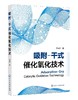 吸附-干式催化氧化技术 李秉正 废水处理技术书籍 吸附模型与催化理论实验及表征方法 催化氧化降解行为及机理 环境工程化学工程 商品缩略图0