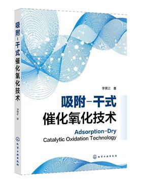 吸附-干式催化氧化技术 李秉正 废水处理技术书籍 吸附模型与催化理论实验及表征方法 催化氧化降解行为及机理 环境工程化学工程