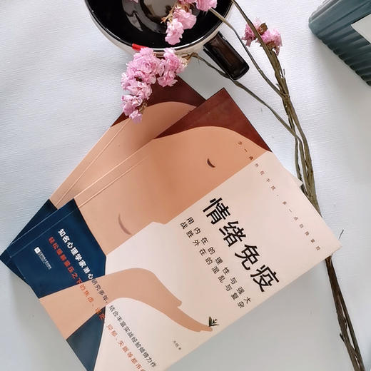 情绪免疫 商品图1