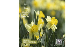 【花丘•心语】