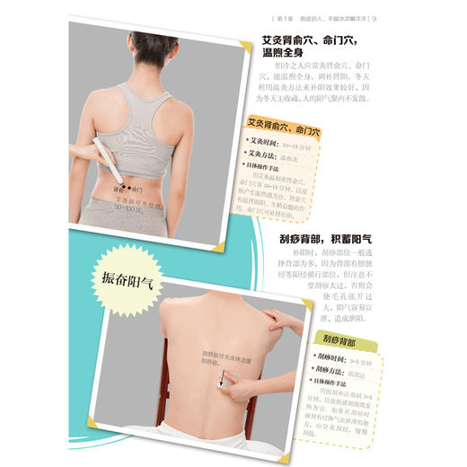 赶走虚寒湿热瘀 商品图9