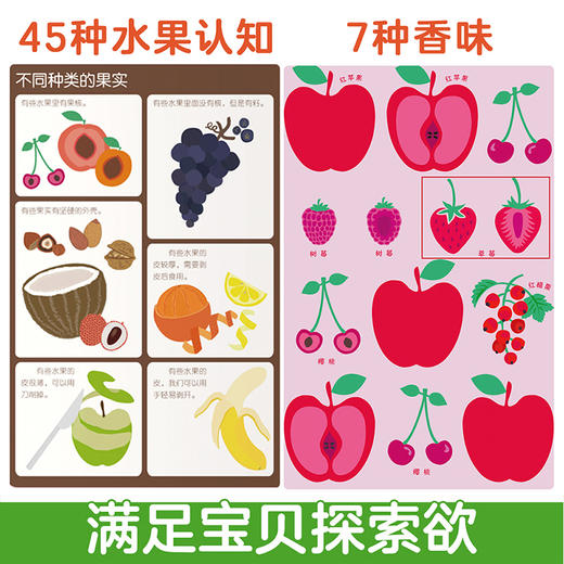 来 闻闻水果的味道 0-3岁 宝宝启蒙认知书 带香味的书 商品图1