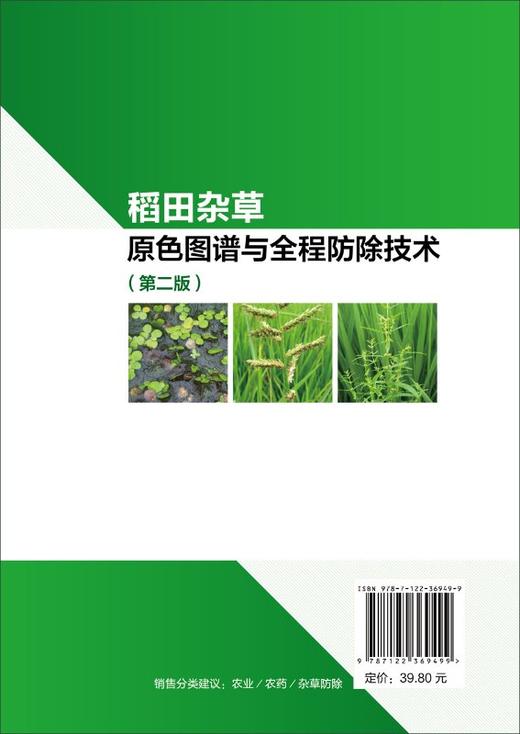 稻田杂草原色图谱与全程防除技术 第二版 稻作生产种植稻田杂草稻田除草剂基础知识 水稻移栽田抛秧田育秧田化学防除杂草技术书籍 商品图1