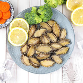 带壳小鲍鱼 20-30个左右/斤