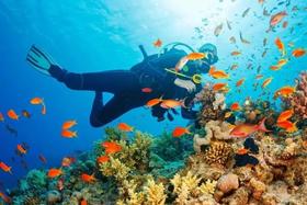  ¥3000奢游Ins网红最爱的海岛，2019最值得去的6大高性价比海岛清单！ 