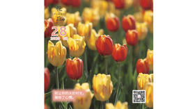 【花丘•心语】