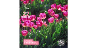 【花丘•心语】