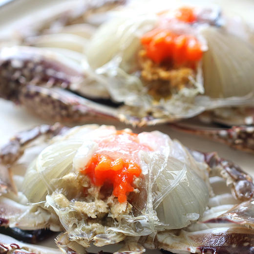 红鲟 2只 商品图0