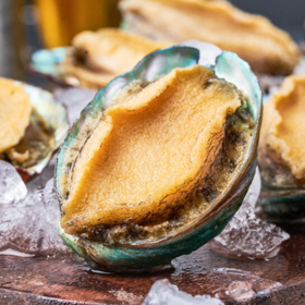 带壳大鲍鱼 5-7头/斤