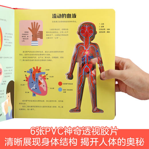 傲游猫-透视小百科 看！身体 商品图2