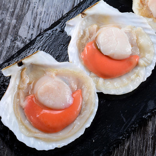 半壳扇贝 商品图1