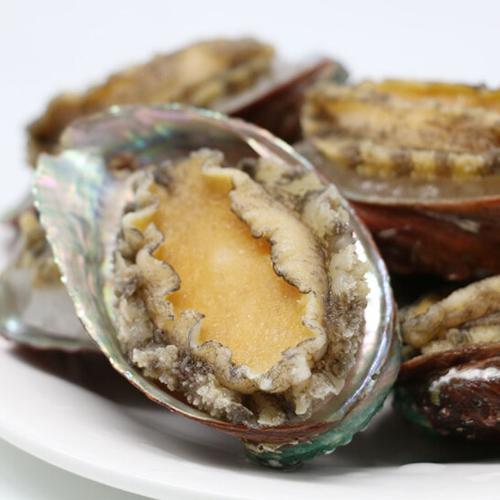 带壳大鲍鱼 5-7头/斤 商品图1