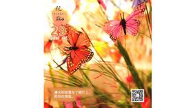 【花丘•心语】