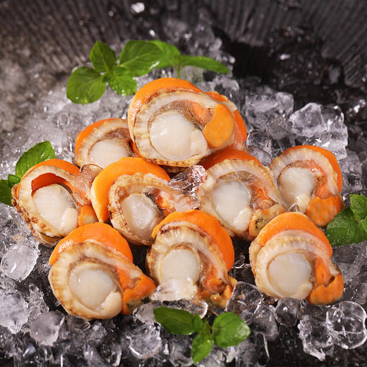 扇贝肉 2盒 商品图1