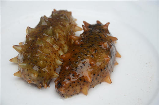 鲜二口参 20个 商品图0