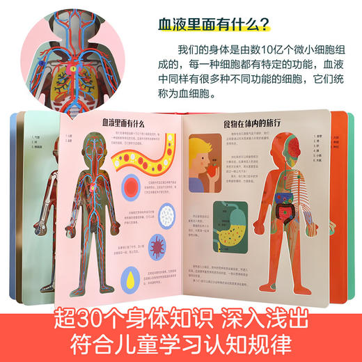 傲游猫-透视小百科 看！身体 商品图1