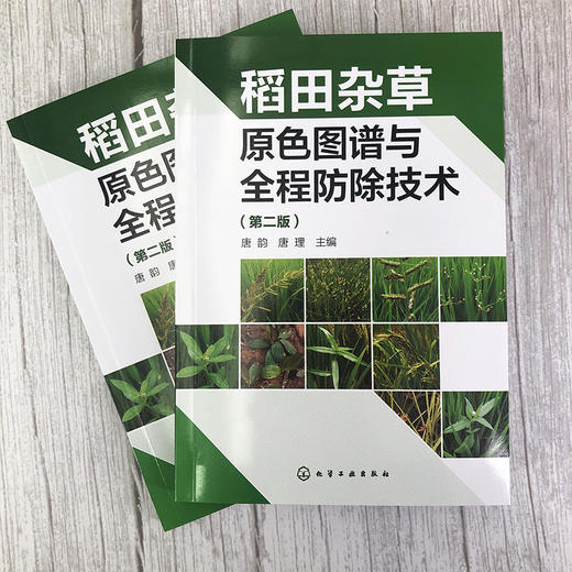 稻田杂草原色图谱与全程防除技术 第二版 稻作生产种植稻田杂草稻田除草剂基础知识 水稻移栽田抛秧田育秧田化学防除杂草技术书籍 商品图2