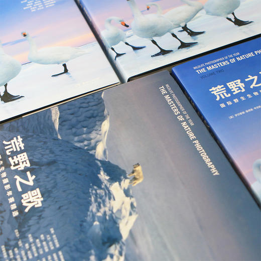 新书预售 荒野之歌2 国际野生生物摄影年赛精选 摄影艺术 商品图3
