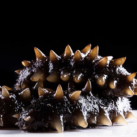 淡干海参干 40个左右 6倍左右泡发率 商品图1