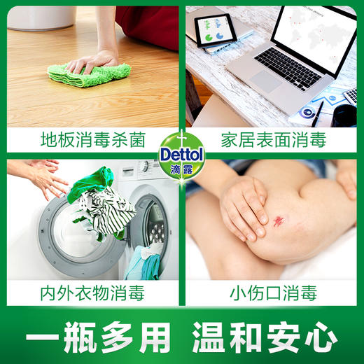 【始于1932，雷诺博士研发】滴露消毒液1.2L大容量 消毒液 家用衣物 内衣 地板 消毒水 有效 英国皇室御用 商品图2