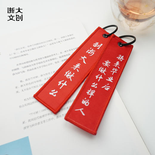 【浙大文创】浙江大学经典两问钥匙扣 商品图4