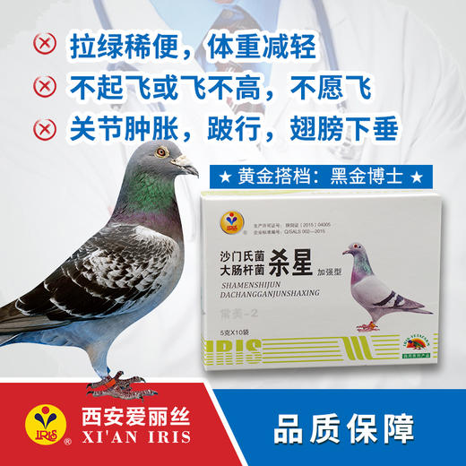 西安爱丽丝 以信鸽为本,我们坚持了27年. 好不好?您说了算.