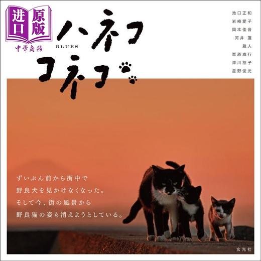 【中商原版】猫妈妈与小猫 摄影集 日文原版 ハハネコ コネコ 商品图0