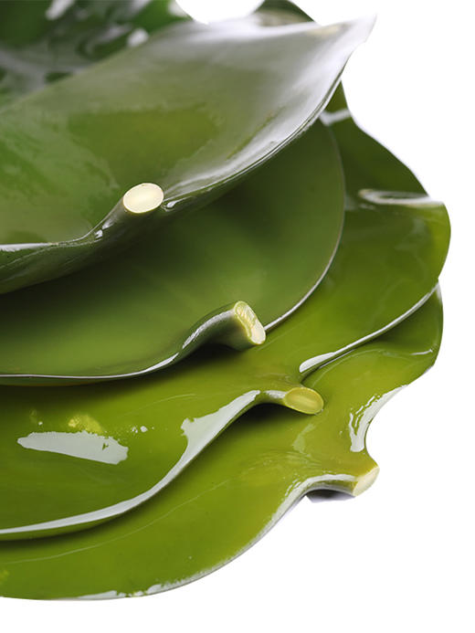 海带片 商品图0