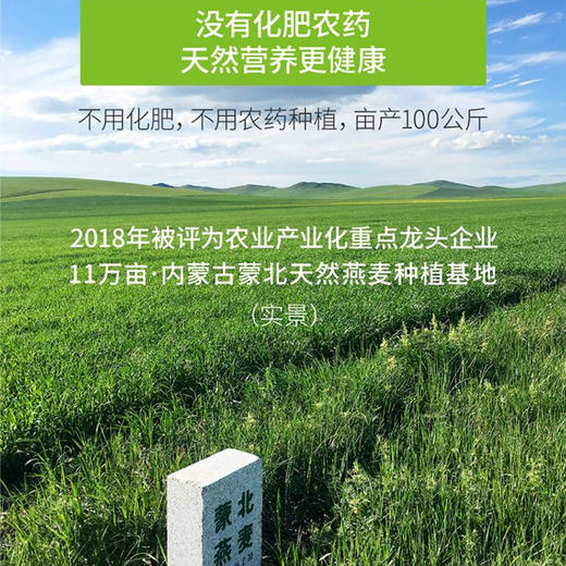 【产地直发包邮】多然燕麦米500g 商品图1