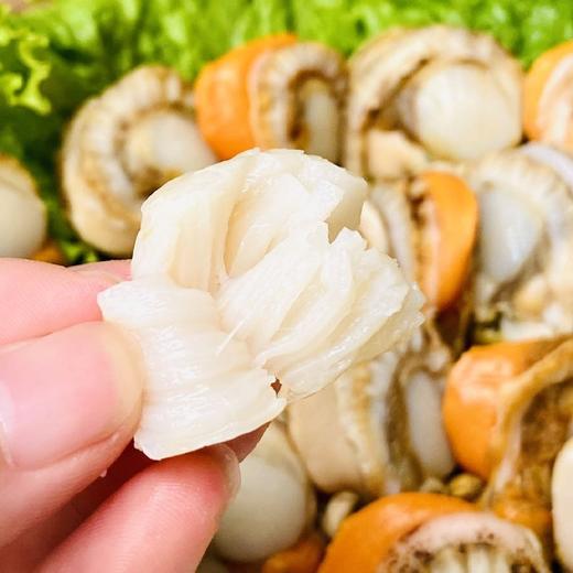 北城红贝6袋*250克 再送一盒鳕鱼排