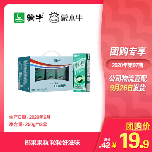 真果粒椰果粒250g×12盒 商品图0