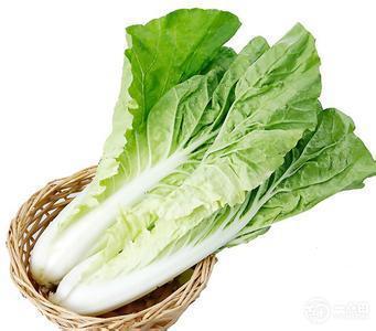 快菜500g/份 商品图0