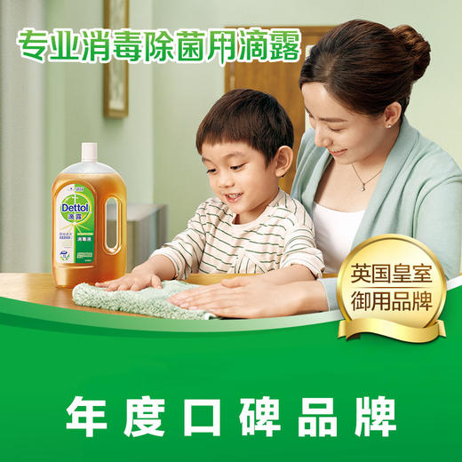 【始于1932，雷诺博士研发】滴露消毒液1.2L大容量 消毒液 家用衣物 内衣 地板 消毒水 有效 英国皇室御用 商品图3