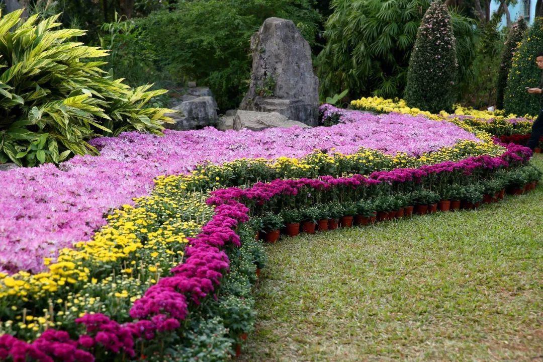 【崑山】張浦金華花海薰衣草莊園限量單人票