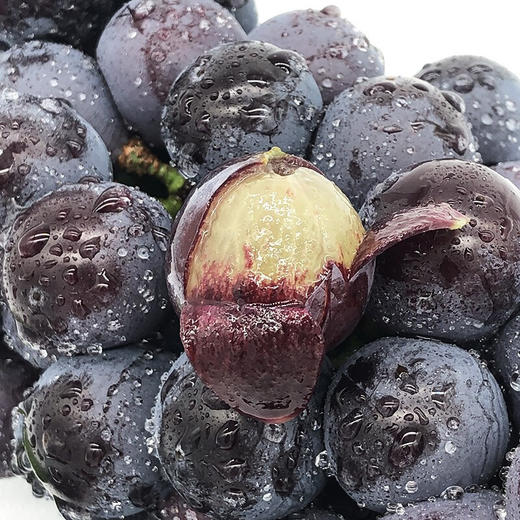 限时秒杀-蓝莓葡萄礼盒(约5斤),牡丹江区域不参与