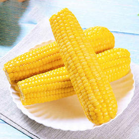 北优天赐 黑龙江甜糯黄玉米/白玉米8只装 真空包装